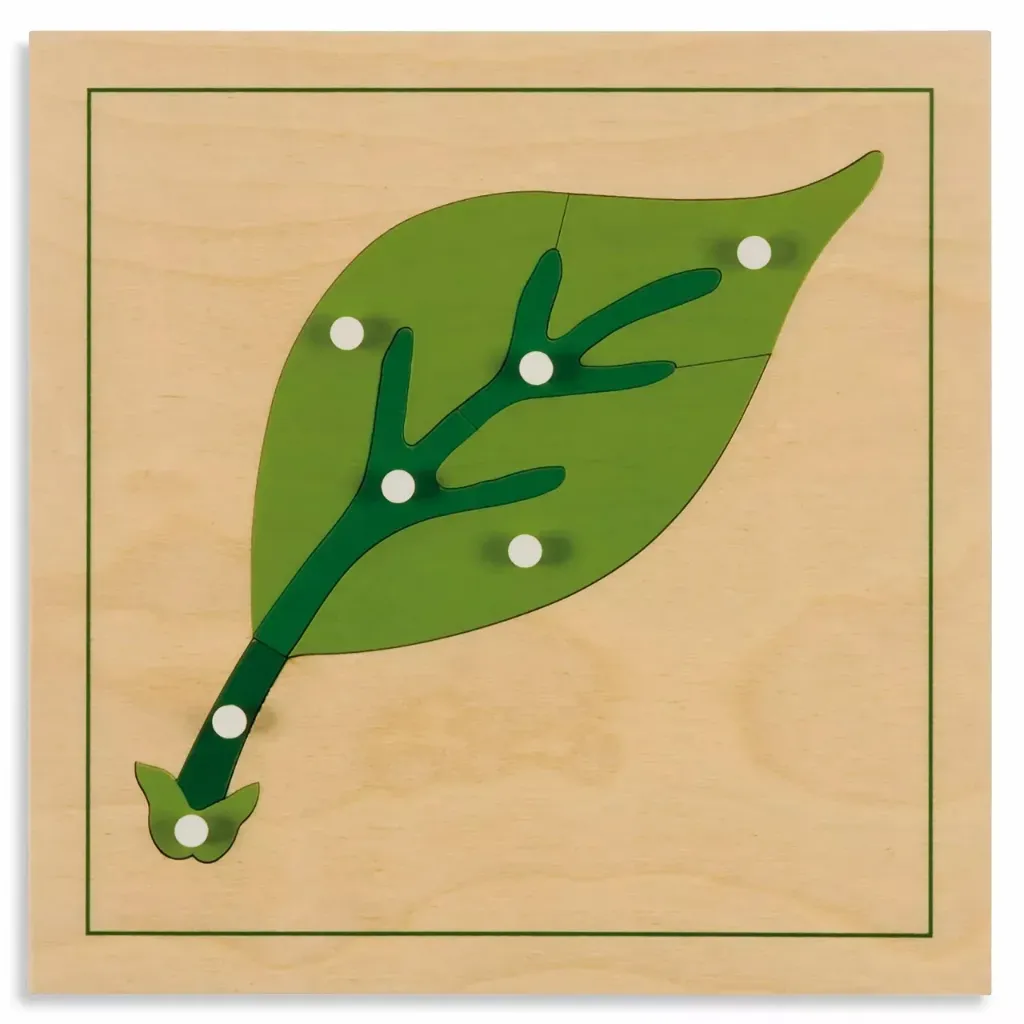 Leaf Puzzle