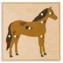Horse Puzzle
